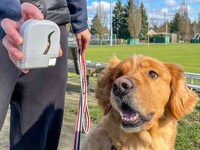 Wearable Dog Treat Dispensers Image 3