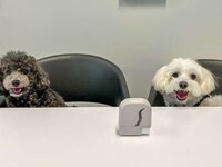 Wearable Dog Treat Dispensers Image 4