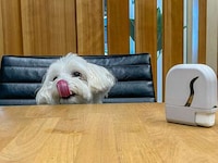 Wearable Dog Treat Dispensers Image 6