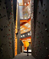 Multi-Level Skateparks Image 2