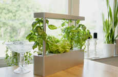 Compact Countertop Hydroponic Planters