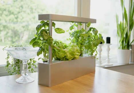 Compact Countertop Hydroponic Planters
