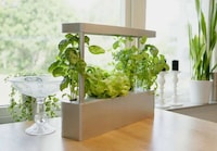 Compact Countertop Hydroponic Planters Image 1