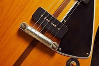 Nostalgic Limited-Edition Guitars