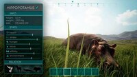 Wildlife Awareness Games