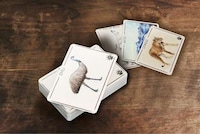 Wildlife Awareness Games Image 2