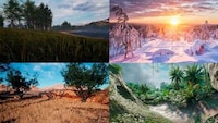 Wildlife Awareness Games Image 3