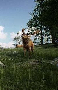 Wildlife Awareness Games Image 5