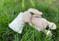 Miniature Memory Foam Pillows Image 1