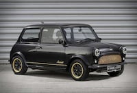 Exclusive Gold-Accented Minis