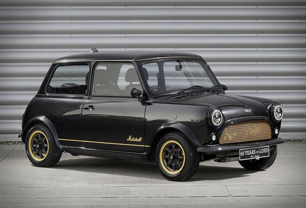 Exclusive Gold-Accented Minis