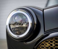 Exclusive Gold-Accented Minis Image 8
