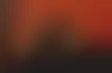 Crisp Brown Suede Sneakers