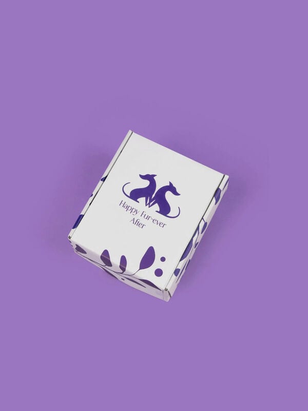 Wedding-Ready Dog Kits