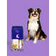 Wedding-Ready Dog Kits Image 2