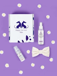 Wedding-Ready Dog Kits Image 5