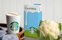 Vegan Milk Initiatives Image 2