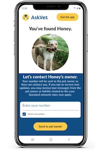 Lost Pet ID Tags Image 2