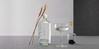 Barley Blended Vodkas Image 2