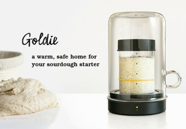 Sourdough Starter Storage Systems