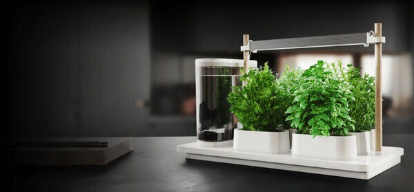 Automated Indoor Gardens