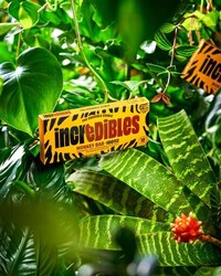 THC-Infused Chocolate Bars Image 1