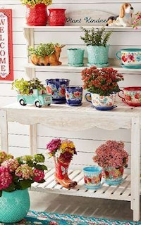 Affordable Vibrant Outdoor Collections Image 2