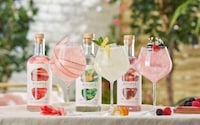 Versatile Alcohol-Free Spirits Image 1