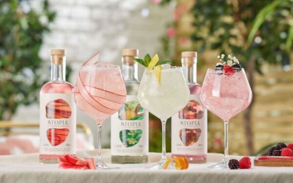 Versatile Alcohol-Free Spirits