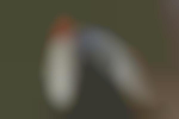 Semi-Translucent Football Shoes