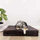 Ultra-Stylish Dog Bed Collections Image 1