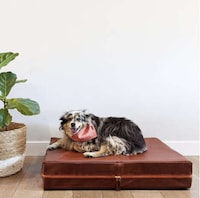 Ultra-Stylish Dog Bed Collections Image 2