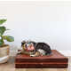 Ultra-Stylish Dog Bed Collections Image 2