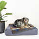 Ultra-Stylish Dog Bed Collections Image 3