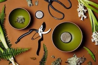 Fern-Inspired Pottery Dinnerware Image 1