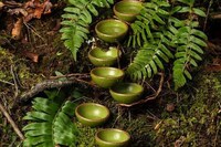 Fern-Inspired Pottery Dinnerware Image 2
