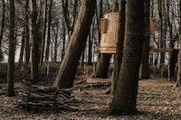 Contemporary Conservationist Treehouses Image 2