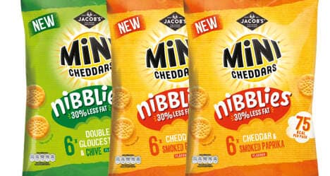 Cheesy Low-Fat Cracker Snacks