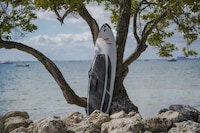 Ruggedized Electric Surfboards Image 1