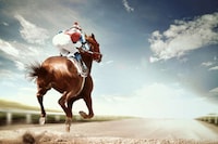 Virtual Horseracing
