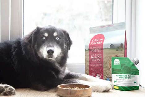 Plant-Based Dog Foods