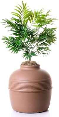 Secret Decorative Litter Boxes Image 3