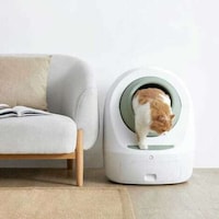Self-Cleaning Cat Litter Boxes Image 1