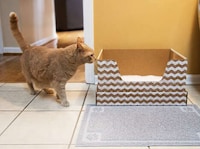 Monthly Litter Box Subscriptions Image 1