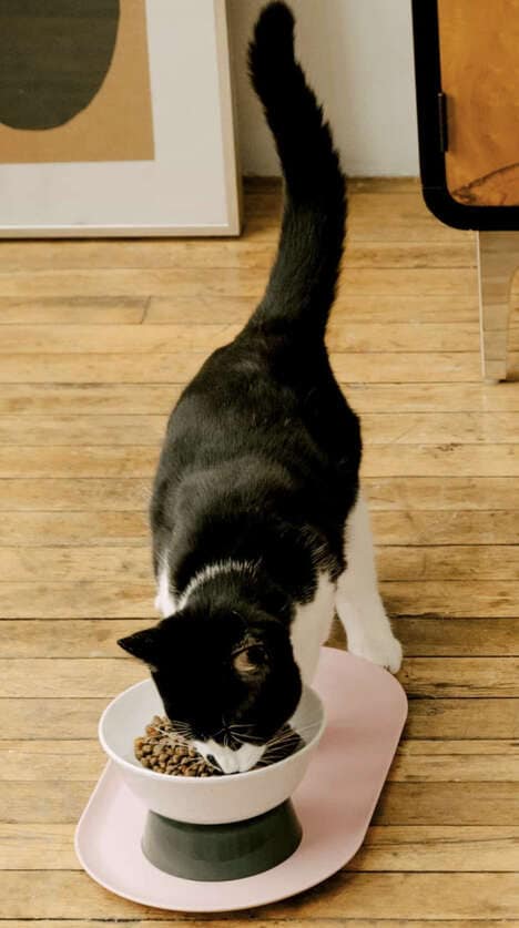 Beautifully Designed Cat Bowls
