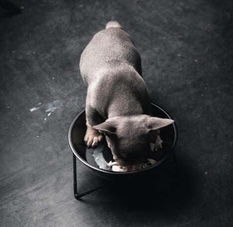 Mix-and-Match Dog Bowls
