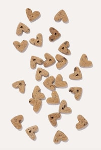 Oven-Baked Dog Treats Image 4