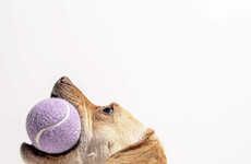 Signature Dog-Friendly Tennis Balls