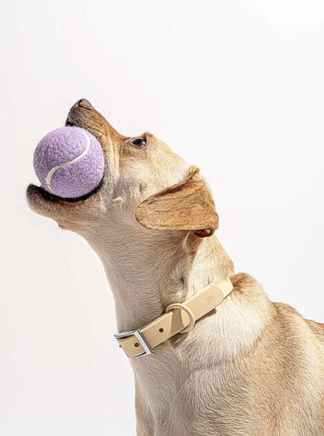Signature Dog-Friendly Tennis Balls