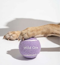 Signature Dog-Friendly Tennis Balls Image 2